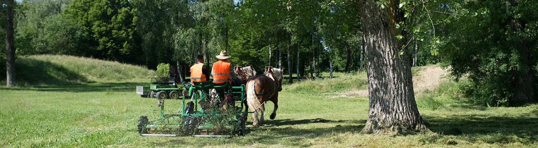 Les Ateliers de la FOJ